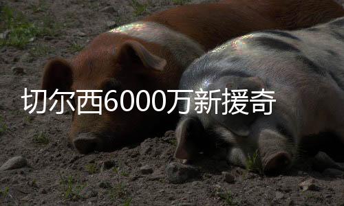 无数切尔西球迷为他打抱不平