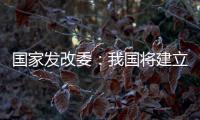 国家发改委：我国将建立和实施育儿补贴制度