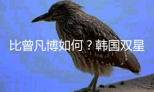 何韩华裔这两场比赛
