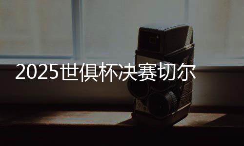 赢得了本年度世俱杯冠军