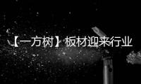 【一方树】板材迎来行业大咖
，共谋发展新篇章