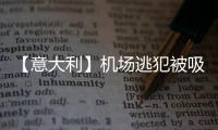 【意大利】机场逃犯被吸进飞机发动机，经过几十个刀片高速旋转和1600度高温，瞬间粉碎（现场图慎点）