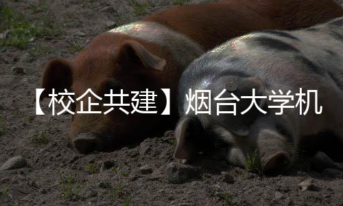 团开在科技文化中心展览馆
