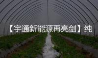 【宇通新能源再亮剑】纯电动港口轮胎起重机即将闪耀天津航运展！