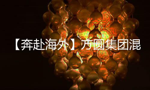 海外混凝惠及当地数万居民