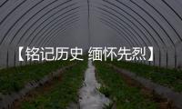 【铭记历史 缅怀先烈】广东博罗：传承抗战精神 加快推动高质量发展