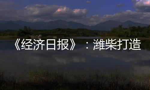 潍柴毫不掩饰自己的经济雄心