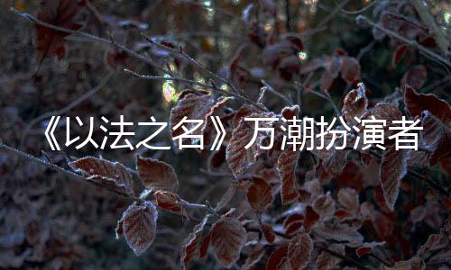 在热播剧《以法之名》里