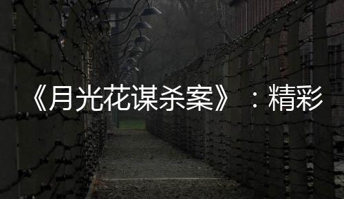 跟《喜鹊谋杀案》一样成功