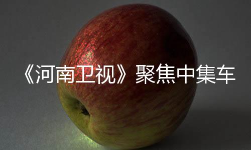 洛阳在此领域成效显著