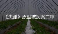 《失孤》原型被拐案二审开庭：受害人提供新线索，被告人相互推诿