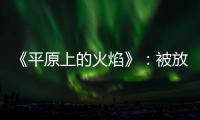 《平原上的火焰》	：被放大的愤怒，被忽略的叙述