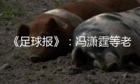 《足球报》：冯潇霆等老将确认无缘国家队名单
