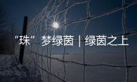 “珠”梦绿茵｜绿茵之上
：金湾区如何打造足球发展生态链
？