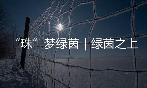 足球不仅是珠竞技运动