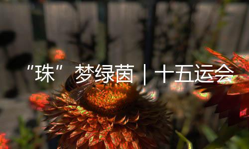 珠从运动的梦绿目人配套上看