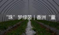 “珠”梦绿茵｜香洲“童超”，有模有样！首届幼儿足球趣味赛落幕