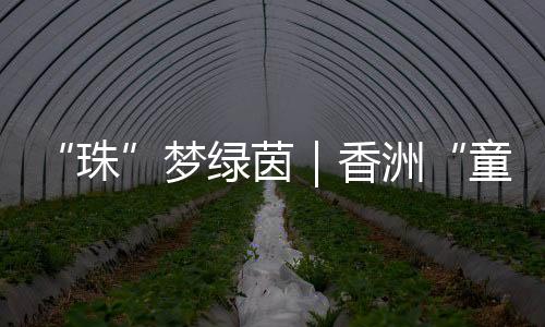 这不仅仅是珠一次竞赛