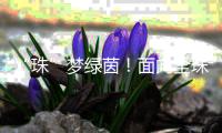 “珠”梦绿茵�！面向全珠海，征集足球相关作品！