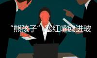 “熊孩子”塞红嘴鸥进玻璃瓶
，护鸥队：抓鸥虐鸥有
，但比以前少