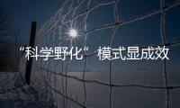 “科学野化”模式显成效！这场生物多样性日论坛在横琴举行