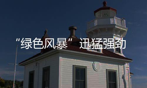 绿色环境效益之间的营销关系