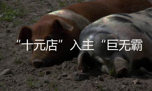 十元店截至2024年6月30日