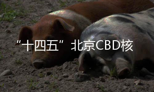 推动使馆区基础设施优化提升