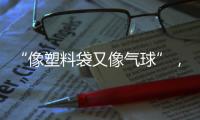 “像塑料袋又像气球”，有毒别碰！珠海也出现了