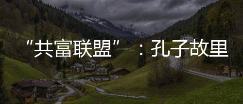 又建了一个共富联盟