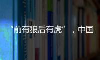 “前有狼后有虎”，中国第三大动力电池生产商赴港上市
