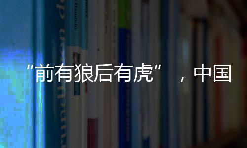 有虎仅次于宁德时代与比亚迪