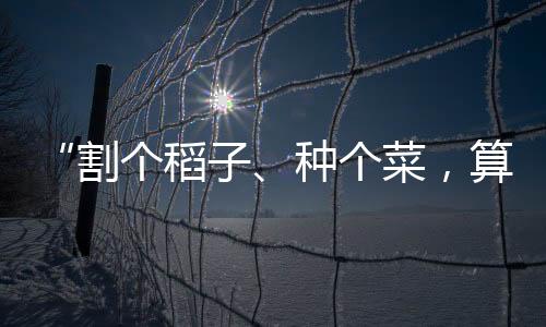 2022年国家级教学成果奖中