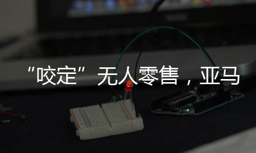 亚马逊真是再升愈挫愈勇