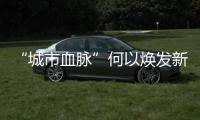 “城市血脉”何以焕发新生？香洲区这样整治凤凰排洪渠→