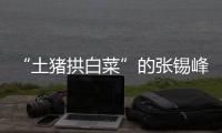 “土猪拱白菜”的张锡峰�：浙大毕业却两手空空，被南科大老师调侃