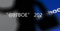 “你好BOE” 2025首站
！超酷现场等你来看