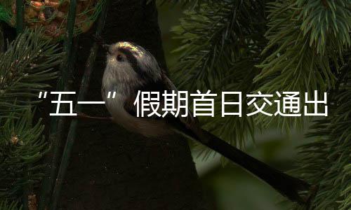 出行超亿同比增长4.8%