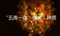 “五库一体”模式：种质资源保存的创新之举