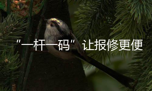 还可能遗漏隐蔽故障