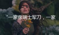 “一家像瑞士军刀，一家像手术刀”：中国版英伟达抢滩科创板