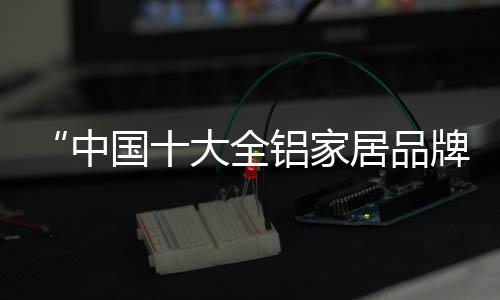大全全屋定制风格