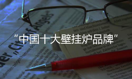 大壁2016年度壁挂炉行业盛事