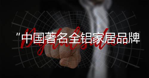 成为国内领先品牌的中国著名