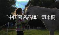 快排公司十年历程，霸屏兔 seo 的崛起与坚守