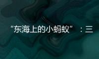 “东海上的小蚂蚁”：三个“她”讲述海岛巾帼力量
