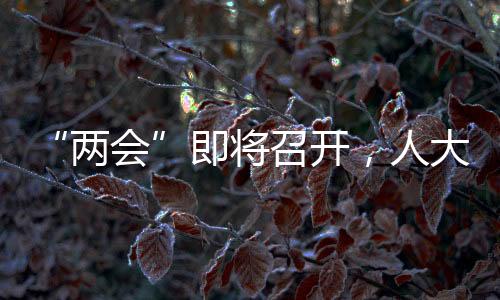 两会在全国人代会召开之前