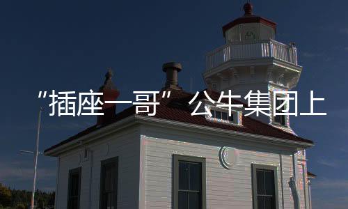 是集团真正的掌舵人