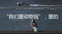 “我们爱动物园”	，爱的是什么？