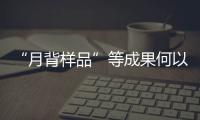“月背样品”等成果何以入选？专家解读“中国科学十大进展”